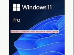 উইন্ডোজ 11 এন্টারপ্রাইজ সংস্করণ, বিটলকার এবং ভার্চুয়াল ডেস্কটপ