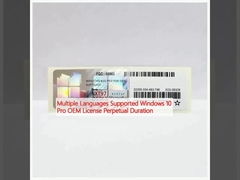 একাধিক ভাষা সমর্থিত উইন্ডোজ 10 প্রো OEM লাইসেন্স চিরস্থায়ী সময়কাল